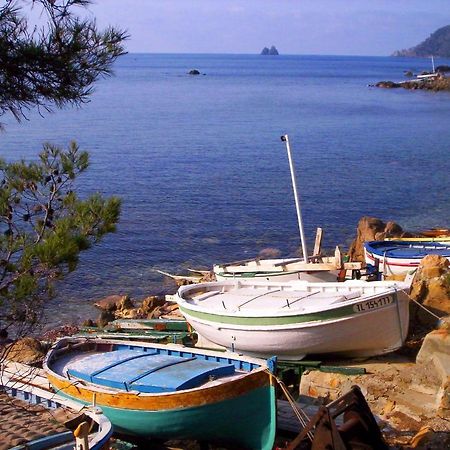 "L'Hippocampe", Climatise, 60 M2 , 2 Chambres, Tres Calme, Plage Des Sablettes Et Commerces A 3 Minutes A Pied, Wifi, Parking Gratuit, Lit King Size 滨海拉塞讷 外观 照片