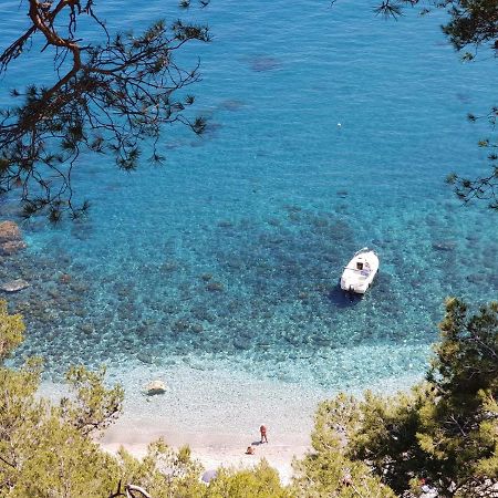 "L'Hippocampe", Climatise, 60 M2 , 2 Chambres, Tres Calme, Plage Des Sablettes Et Commerces A 3 Minutes A Pied, Wifi, Parking Gratuit, Lit King Size 滨海拉塞讷 外观 照片
