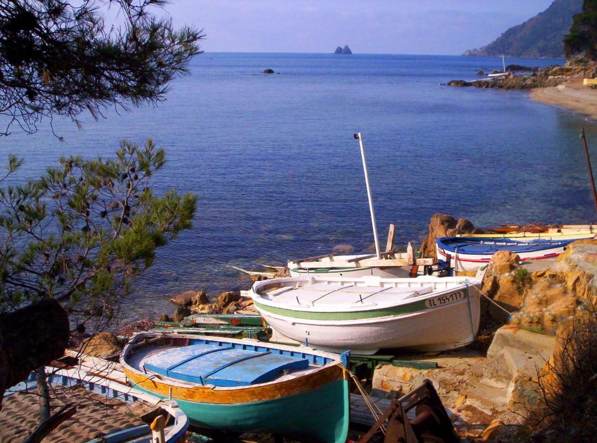 "L'Hippocampe", Climatise, 60 M2 , 2 Chambres, Tres Calme, Plage Des Sablettes Et Commerces A 3 Minutes A Pied, Wifi, Parking Gratuit, Lit King Size 滨海拉塞讷 外观 照片