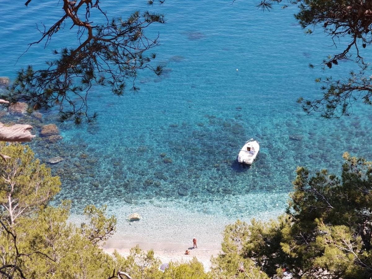 "L'Hippocampe", Climatise, 60 M2 , 2 Chambres, Tres Calme, Plage Des Sablettes Et Commerces A 3 Minutes A Pied, Wifi, Parking Gratuit, Lit King Size 滨海拉塞讷 外观 照片